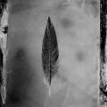 Timothy Pearse - "Flight" (Tiverton, U.K.)