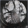 Scott Hilton - "Live Oak" (Richardson, TX)