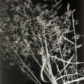 Jeanne Hauser - "Lunagram IV" (San Francisco, CA)
