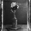 Timothy Pearse - "Untitled Floral Composition One" (Tiverton, U.K.)