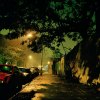 02_gowanus_wild_street_jung