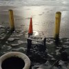 10_gowanus_wild_slush_cone