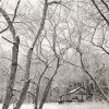 jan1web