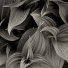 jan4web