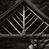 jan7web