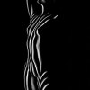 field_contours_of_kelsey