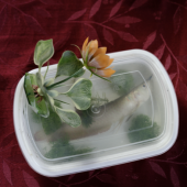 Emily Yang, "Little Funeral" (Juror's Choice Award)
