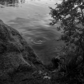 Ian Sherlock Molloy, "Untitled 6"