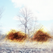 Mary Zompetti, "45 Degrees North #3"