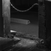 Michael Vahrenwald, "Untitled, Sendai 3, from the series Forest Floor"