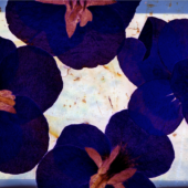 Odette England, "Sanity, from the series The Long Way Home"