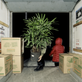 Siman Meng, "Uhaul"