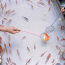 Ke Peng (Los Angeles, CA) - "Untitled", from the series "Leaky Logic and a Fugitive Fish"