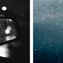 Sam Pettenegill (Greenfield, MA) - "Car_Mirror_Reflection_River_Foam"