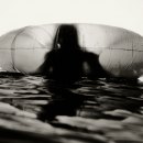 Deb Schwedhelm - "Kiele, Tampa, 2012"