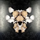 Jim Baab (Somerville, MA) - "Eggshell Autopsy I"