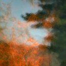 Law Hamilton (Rockport, MA) - "Wall Of Fire"