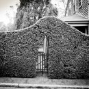 Al Karevy (Richmond, NH) - "Hedge Hole"