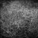 Evy Huppert (White River Junction, VT) - "Constellation, Cornish, NH"