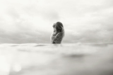 Deb-Schwedhelm-underwater--158 (1)