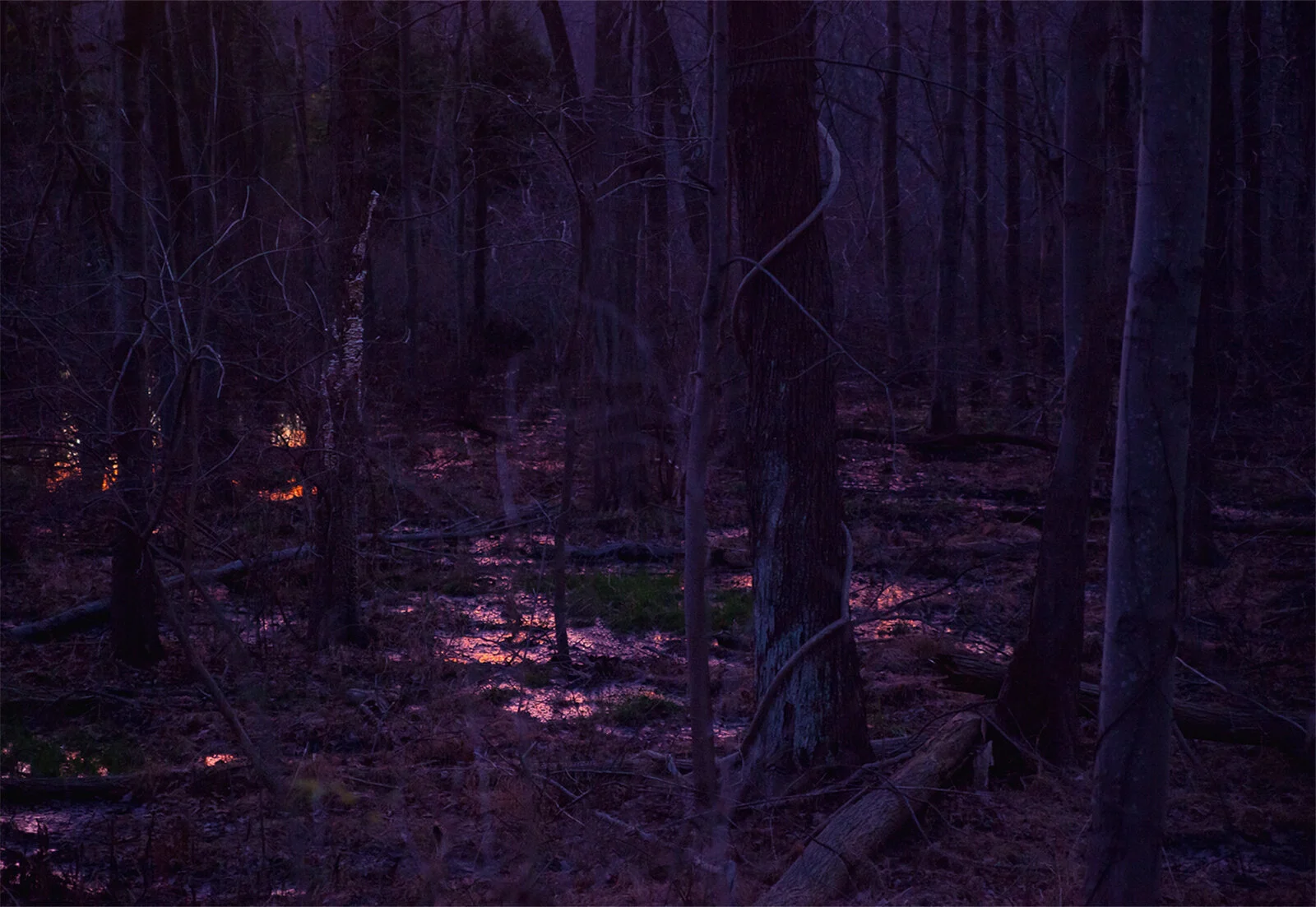 The Disappearance of Joseph Plummer