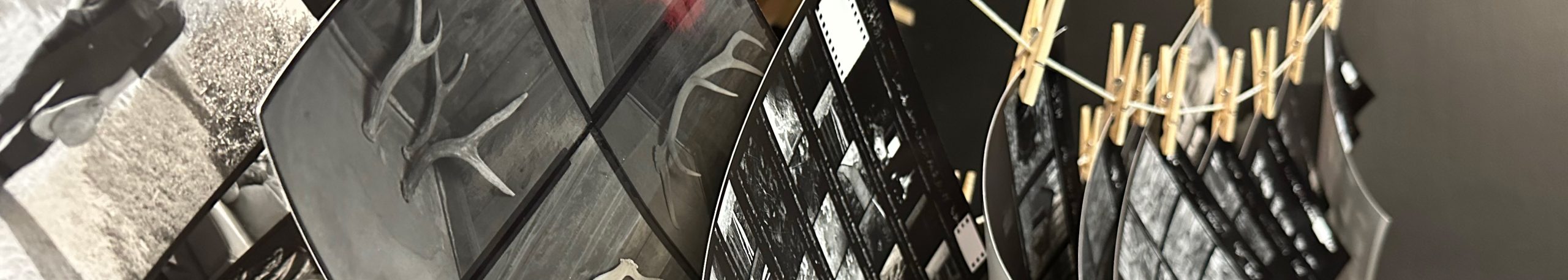 &nbsp;